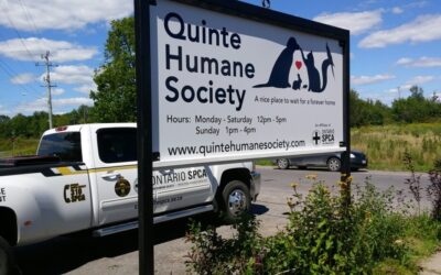 TEAMWORK Project – Quinte Humane Society