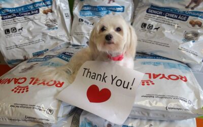 Thank You Royal Canin