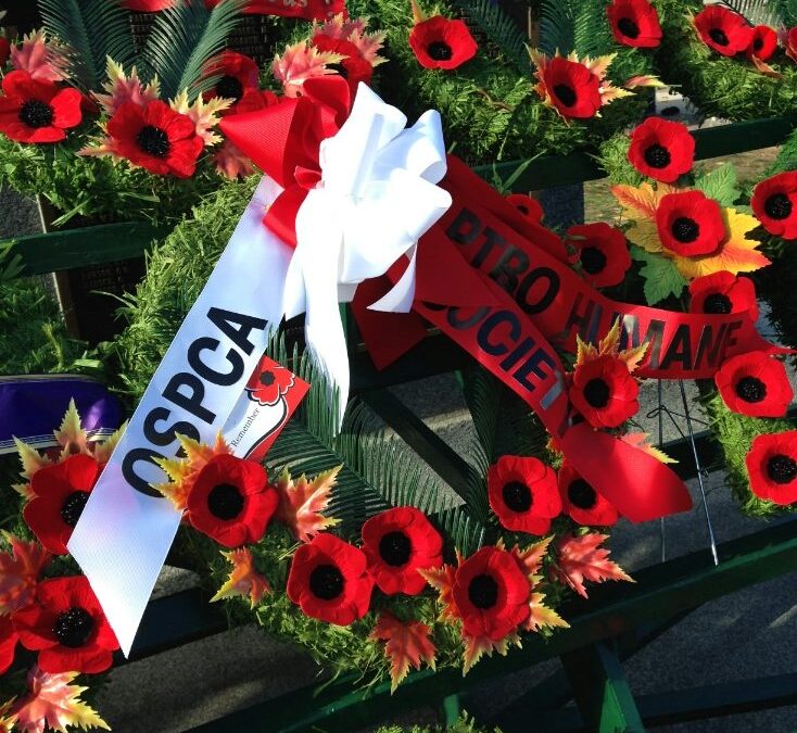 Remembrance Day 2016