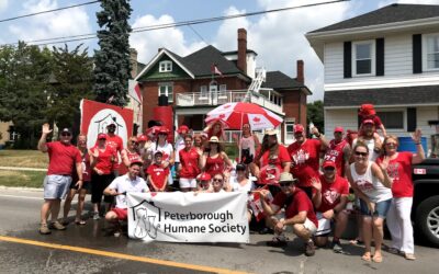 Canada Day Parade