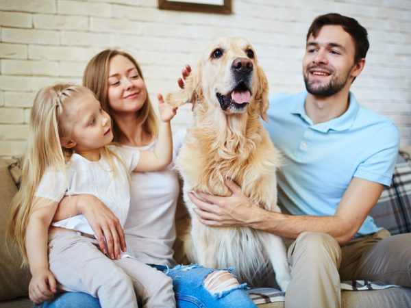 Dog with Family