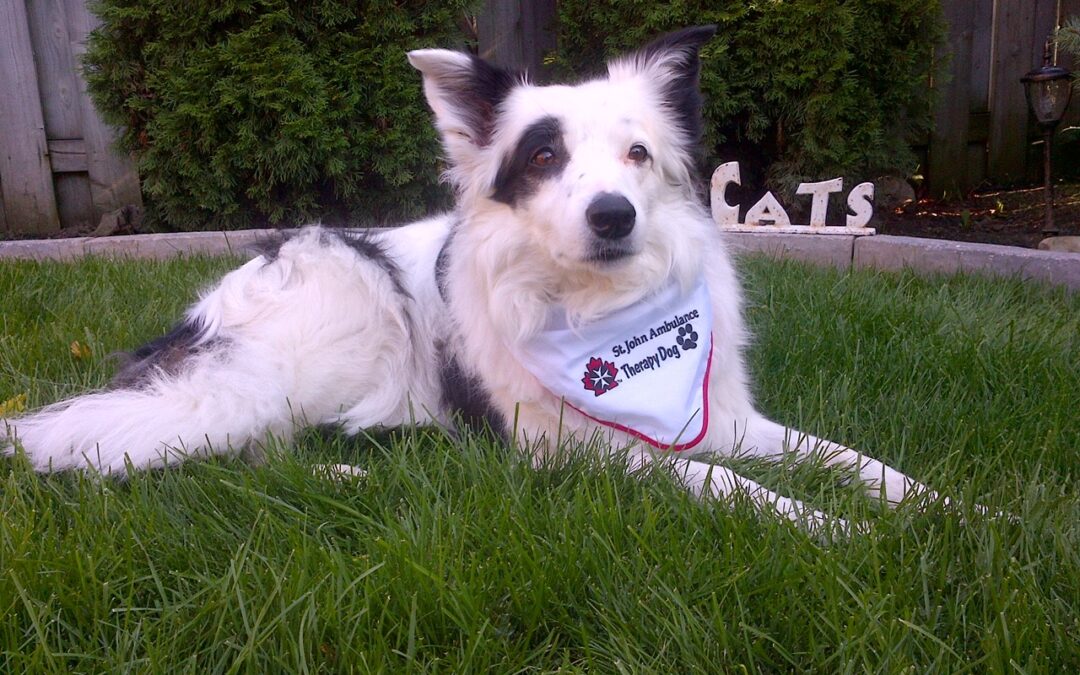 Can-Pet Distributions Joining the Peterborough Animal Care Centre