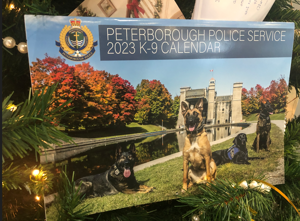 K9 Calendar