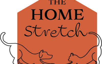 Peterborough Humane Society in ‘The Home Stretch’ of the Our Pet Project capital campaign