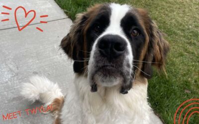 Giving Tuesday – Twyla’s Story