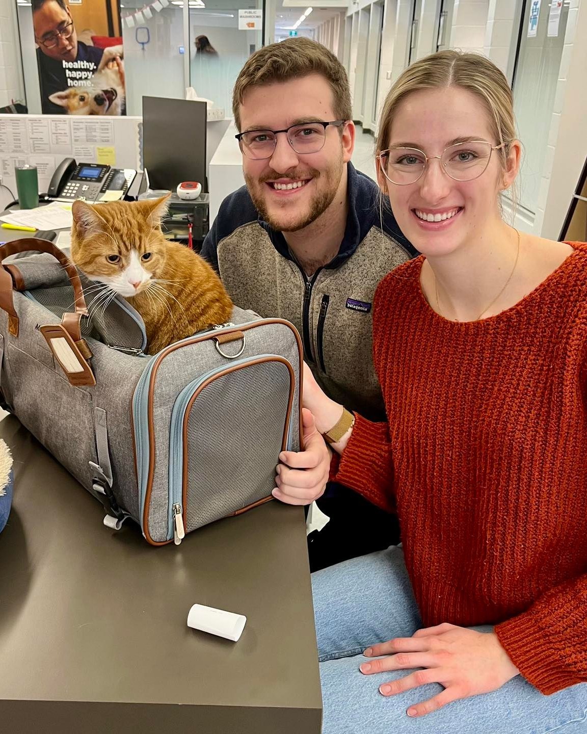 Young adult couple with ginger cat in carry bag sitting at adoption desk