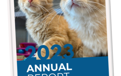 2023 Annual Report