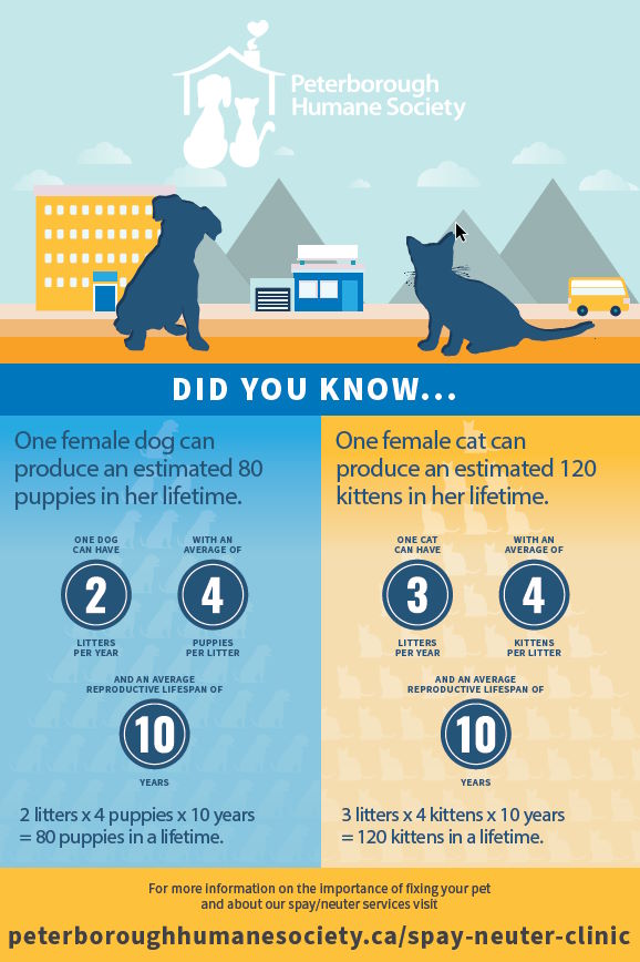 Infographic of the importance of spaying and neutering your animals