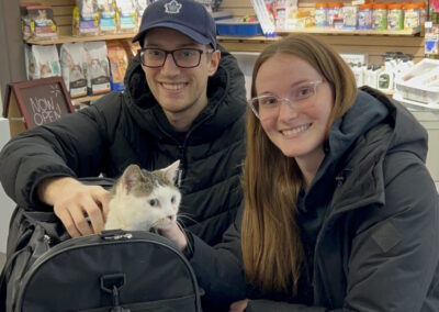 Photo of couple adopting a grey and white cat