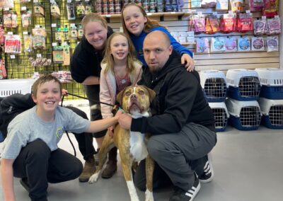 Family adopting brown dog