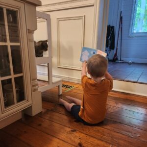 Little boy reading book to cat