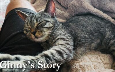 Ginny’s Story