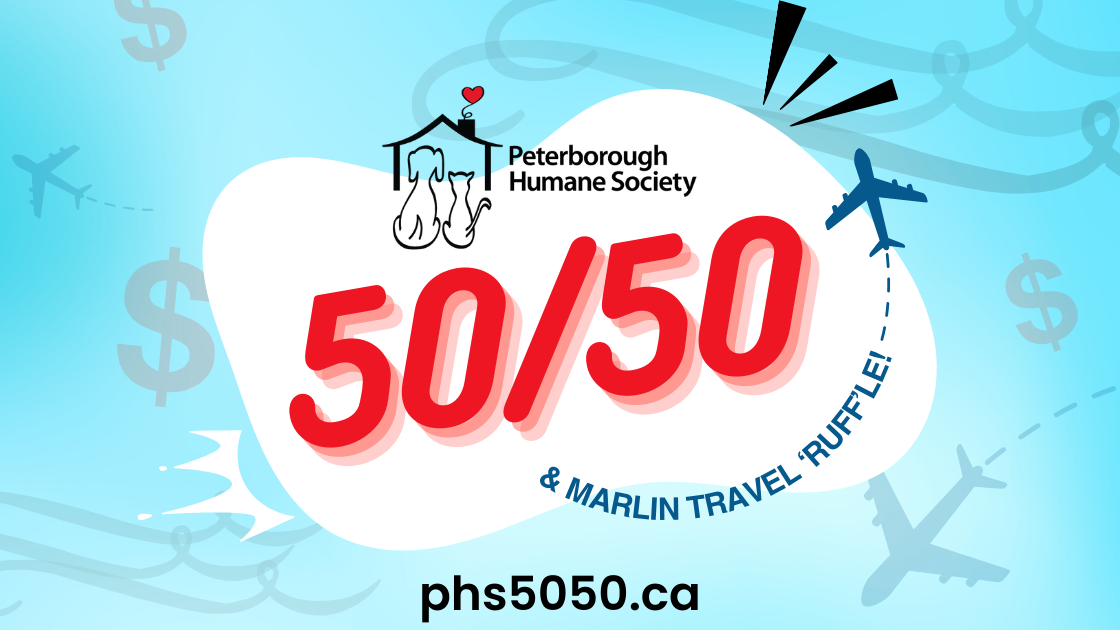 50/50 graphic