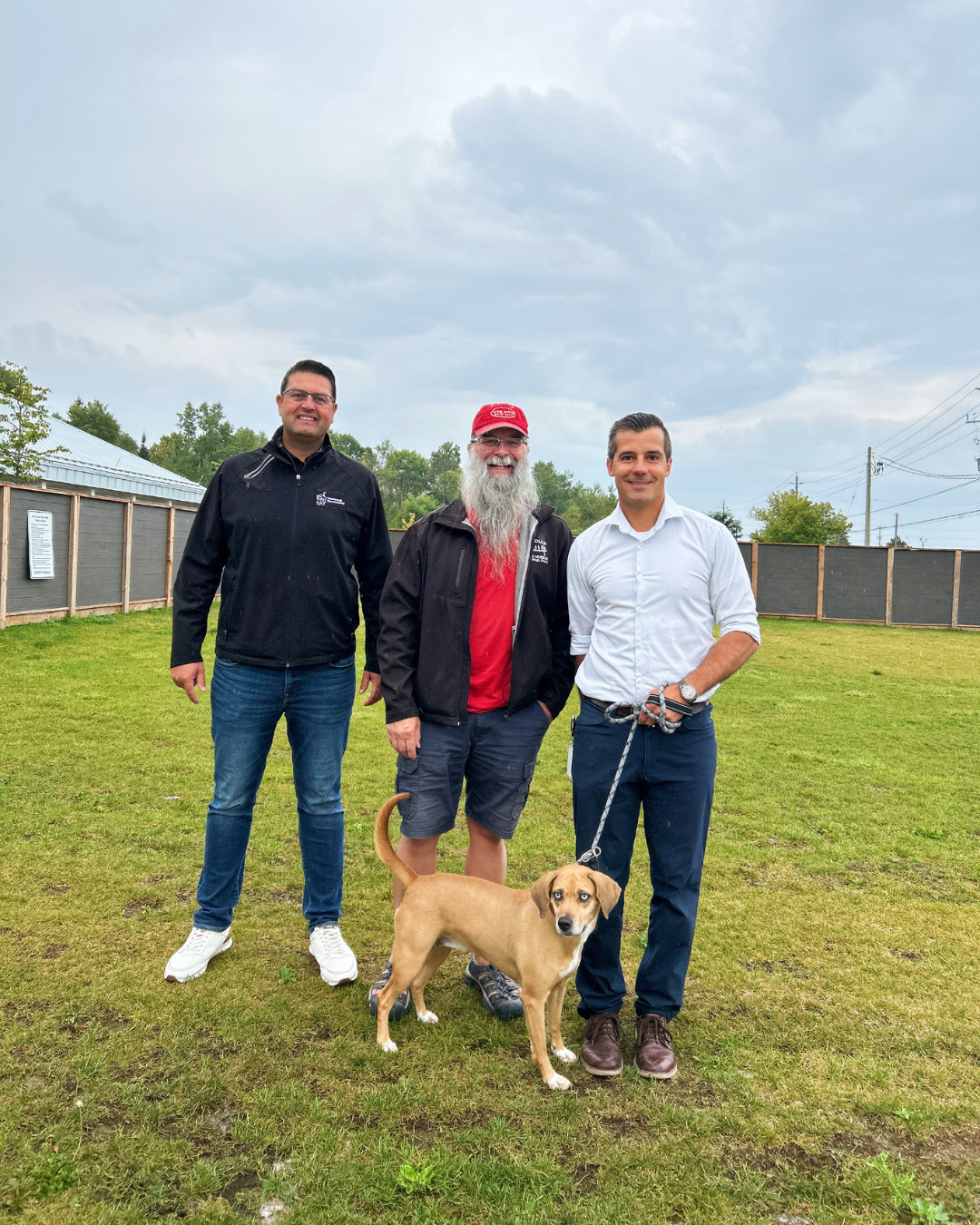 Shawn, Tim, Si and Celeste the dog in the dog park