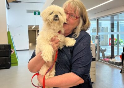 Blanche the dog Adoption