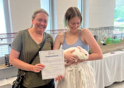 Dos the rabbit Adoption