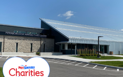 Peterborough Humane Society Receives $100,000 Grant From PetSmart Charities® To Improve Accessible Veterinary Care