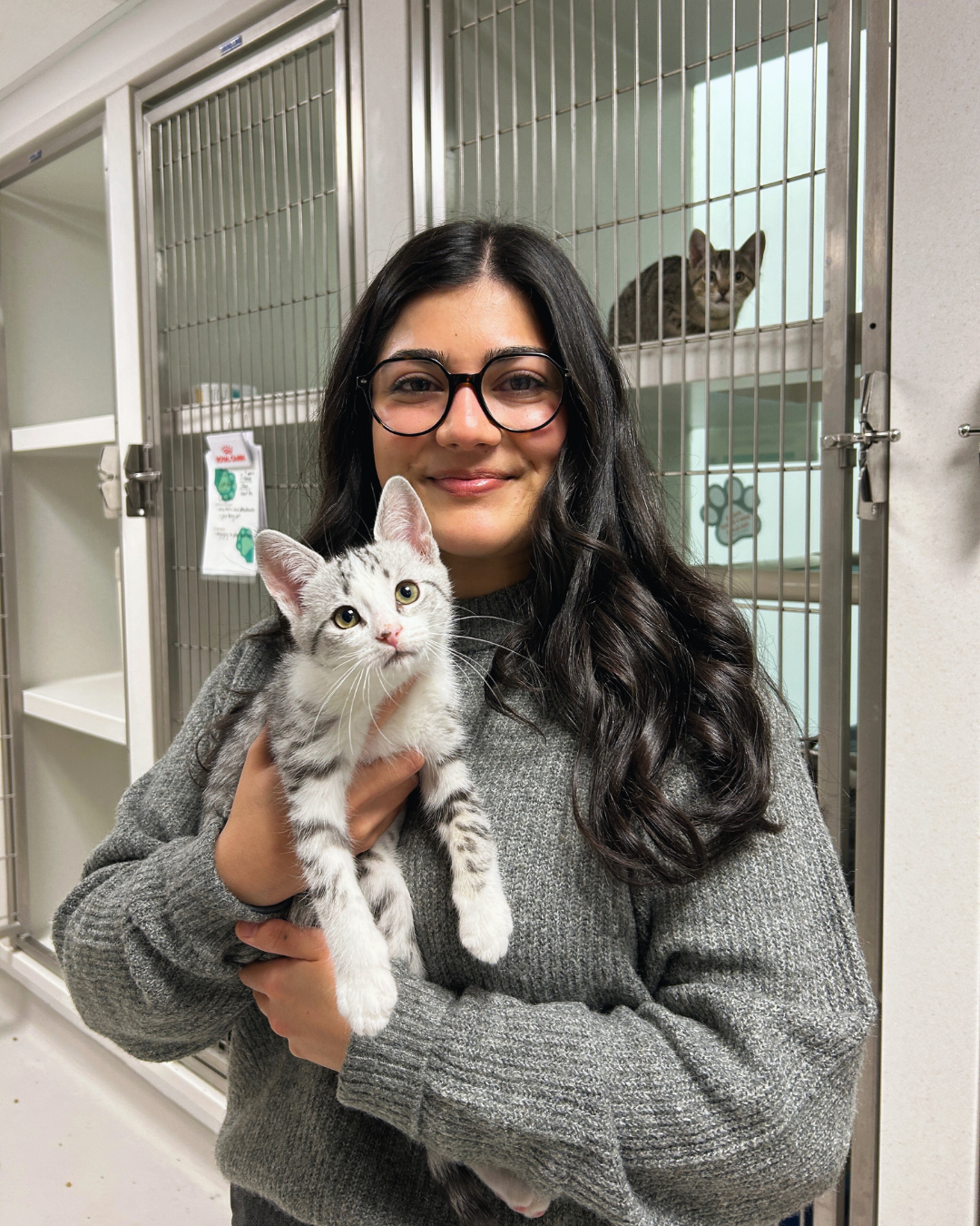 Sara McKenzie holding grey and white kitten