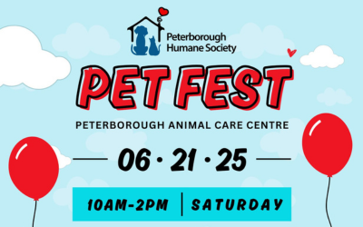 PetFest Image for Website Homepage - 400x200px Pet Fest at Peterborough Animal Care Centre, Saturday, June 21, 2025 from 10am-2pm