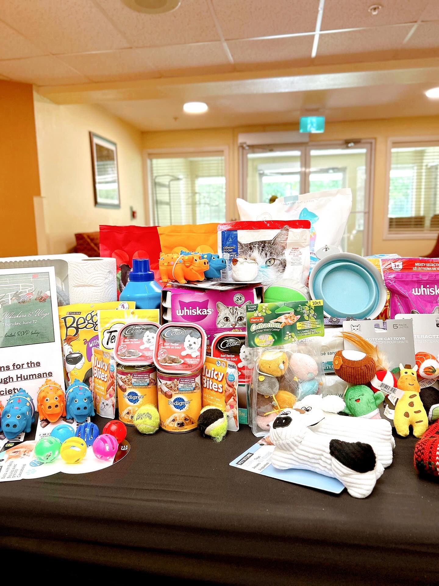 Donations from Sherbrooke Heights
