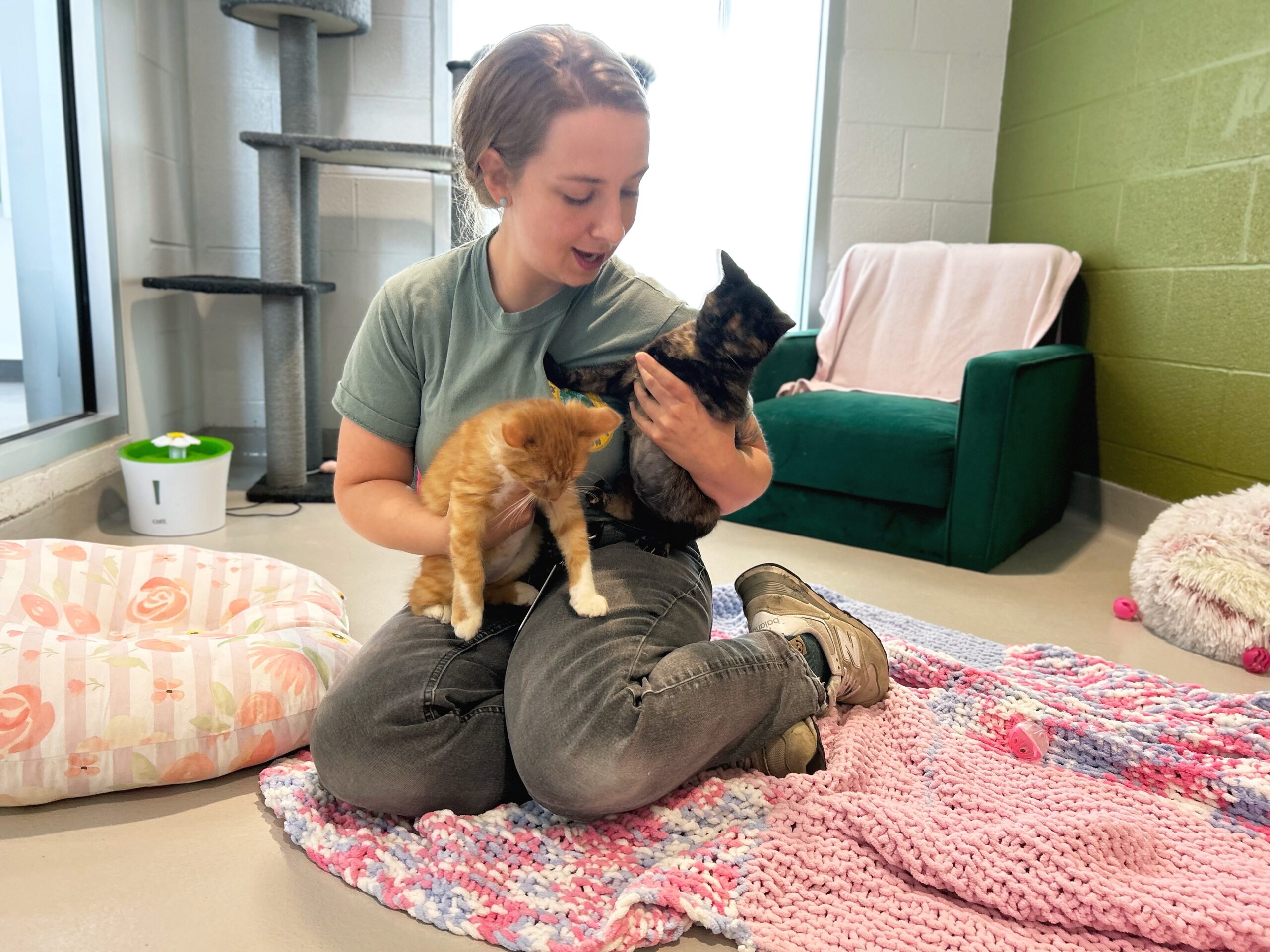 Why Two Kittens Are Better Than One