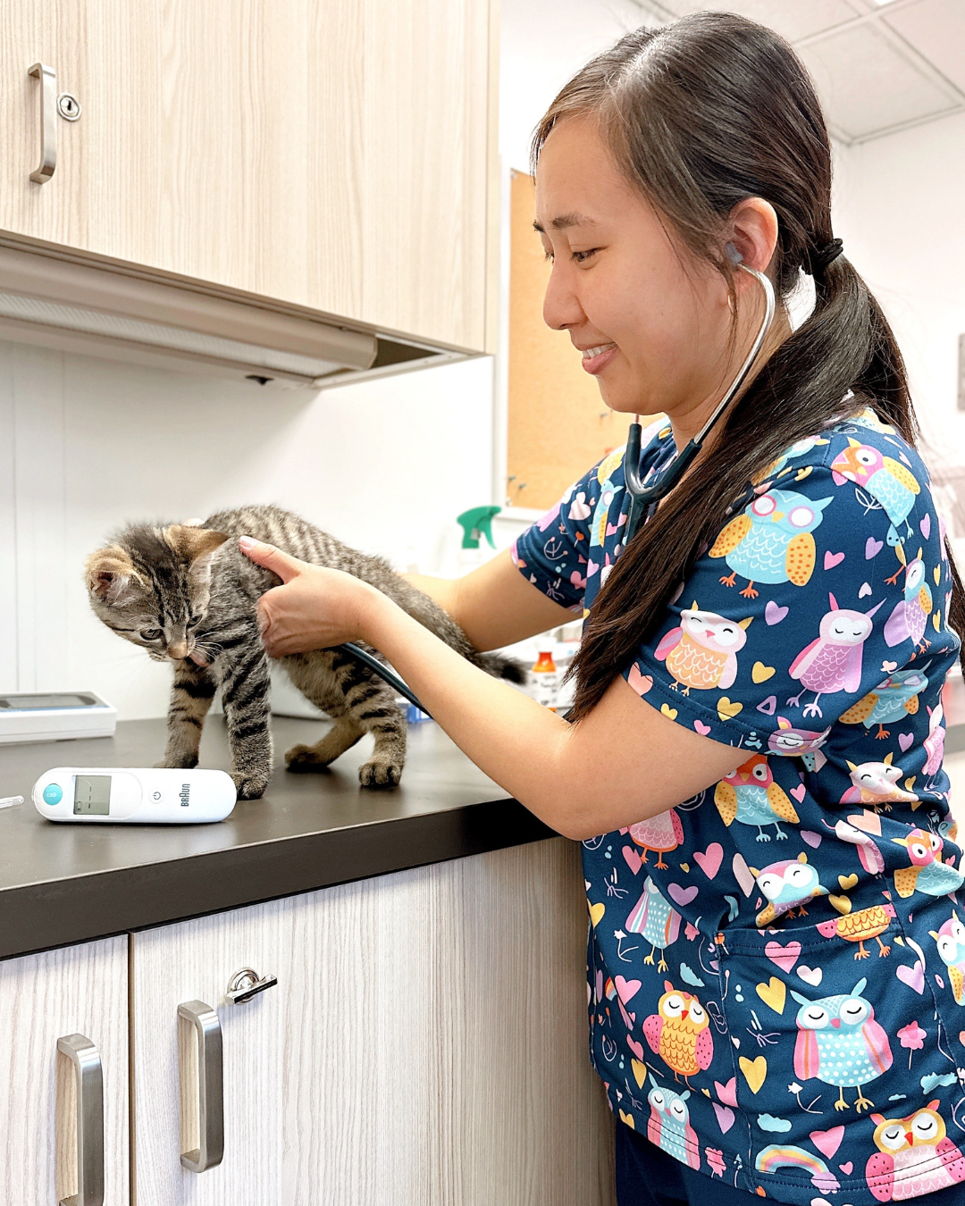 vet with dog