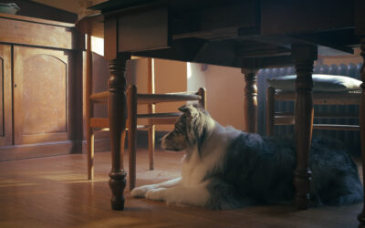 Love, Chosen: The Story Behind Our Newest Adoption Video