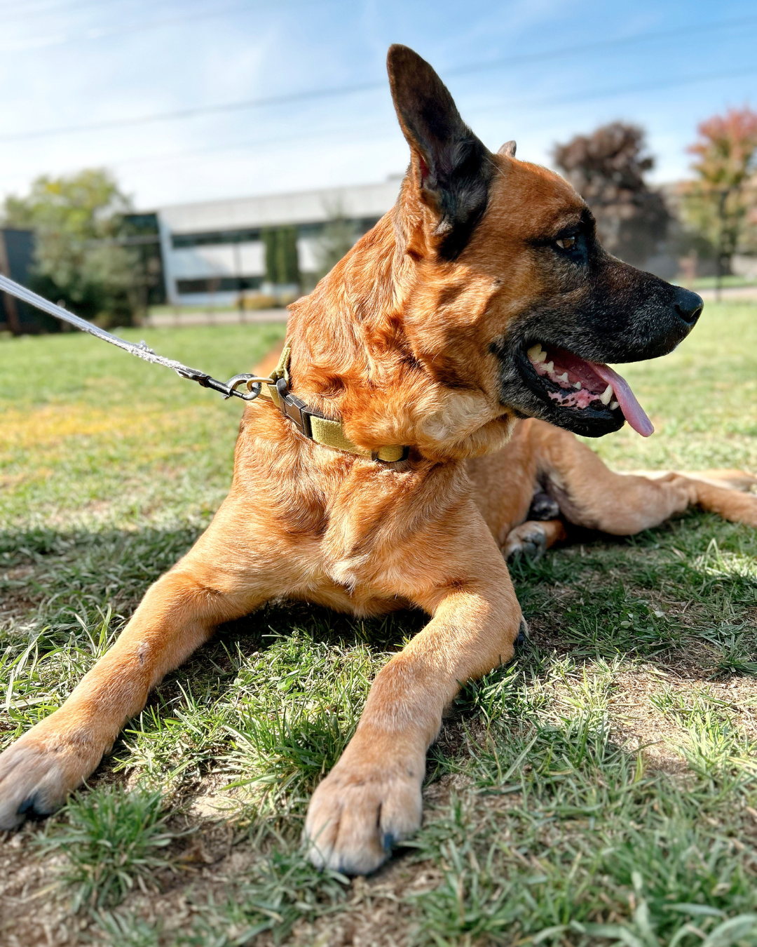 5050 (8) A still from our Love, Chosen video shoot