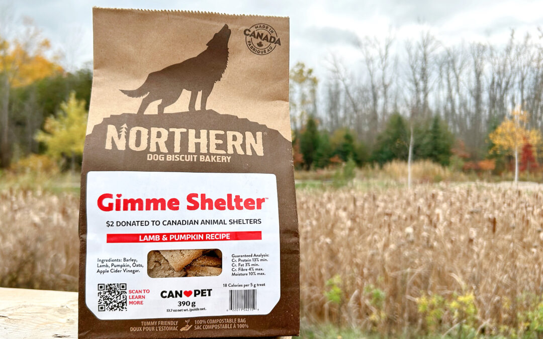 Shop with Purpose: Introducing Gimme Shelter at Jade’s Pet Boutique