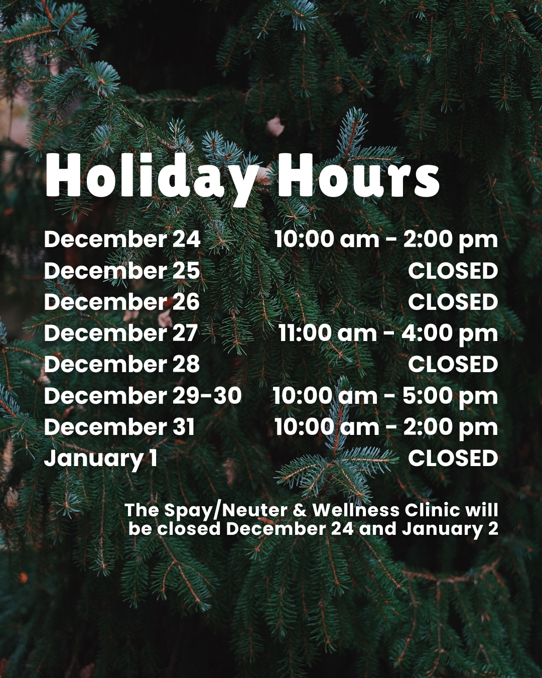 A still from our Love, Chosen video shoot