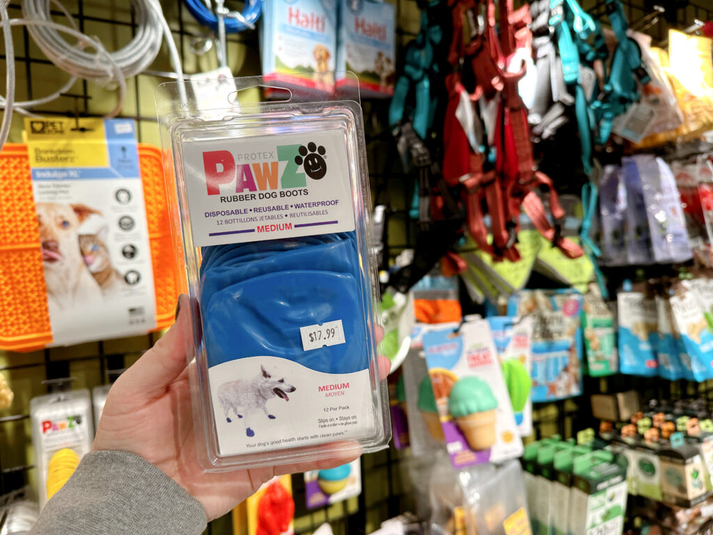 January is Walk Your Dog Month!