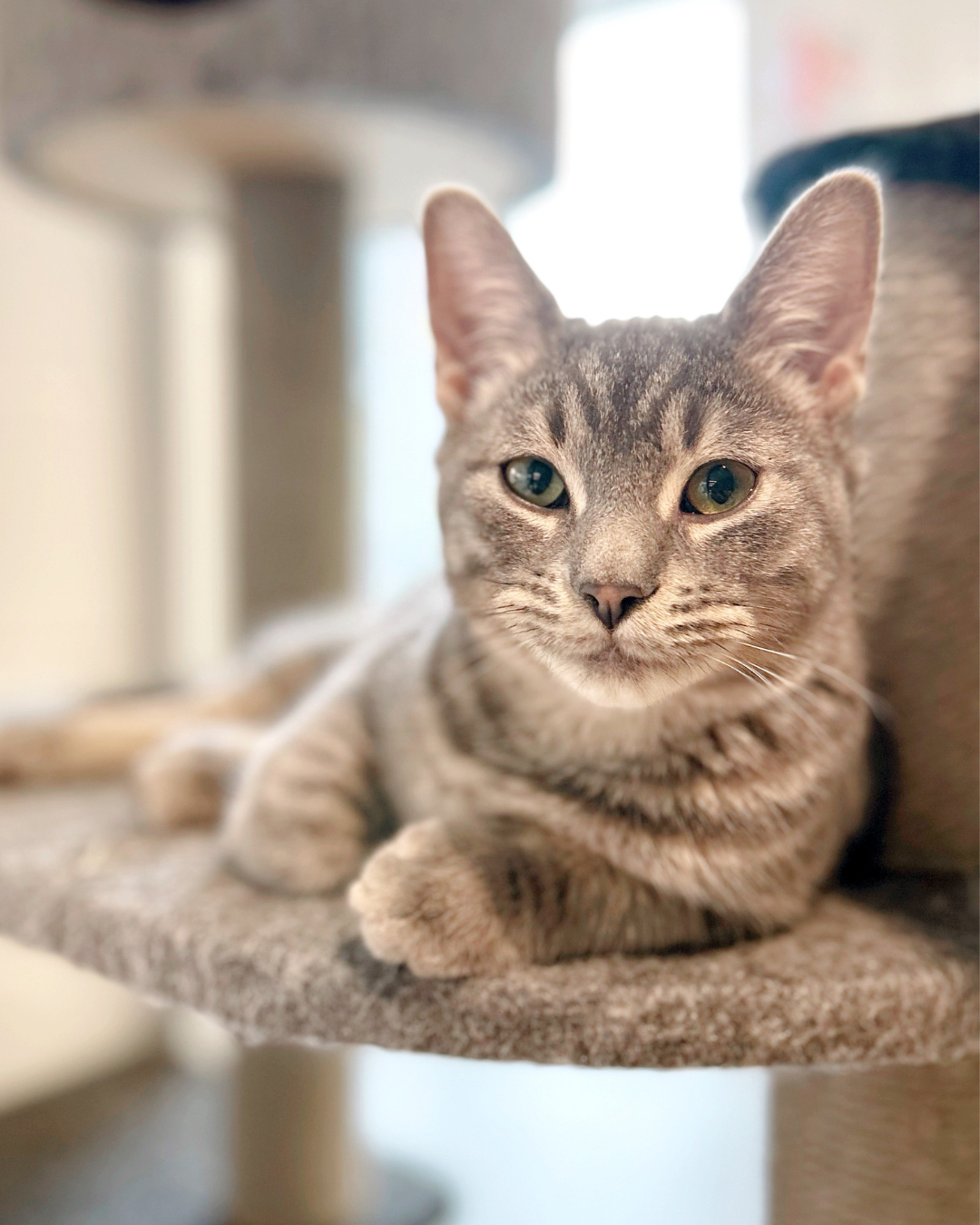 A still from our Love, Chosen video shoot