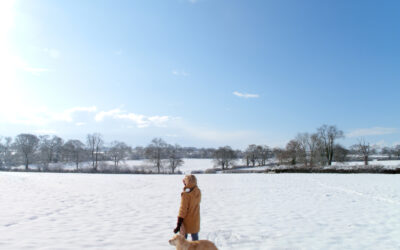 January is Walk Your Dog Month!