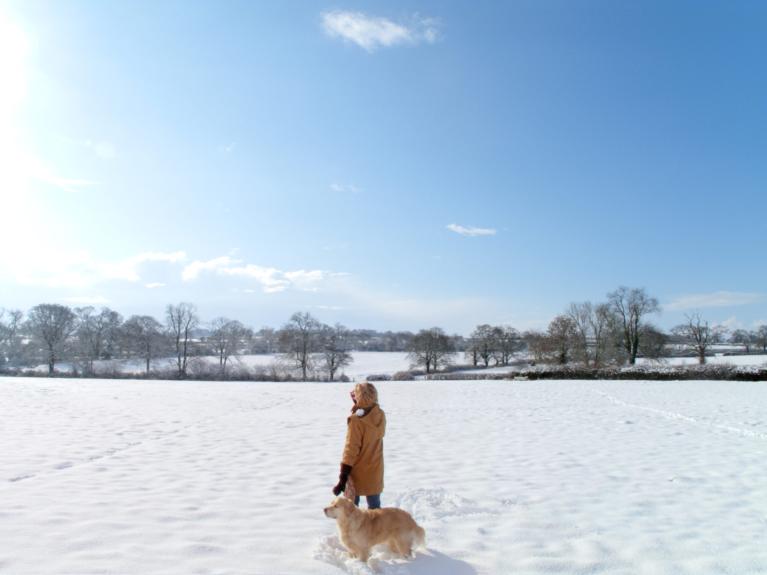 January is Walk Your Dog Month!