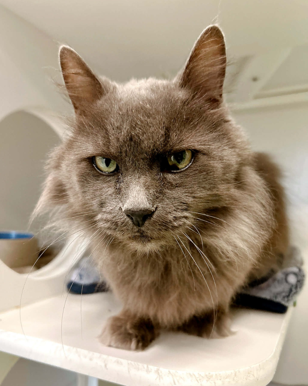 Website feature blocks (3) A still from our Love, Chosen video shoot