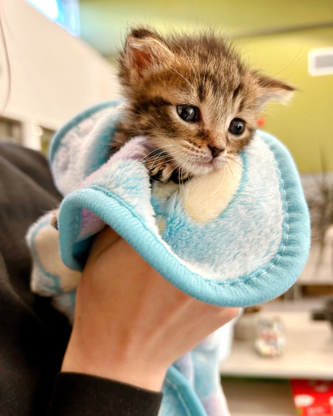 A still from our Love, Chosen video shoot