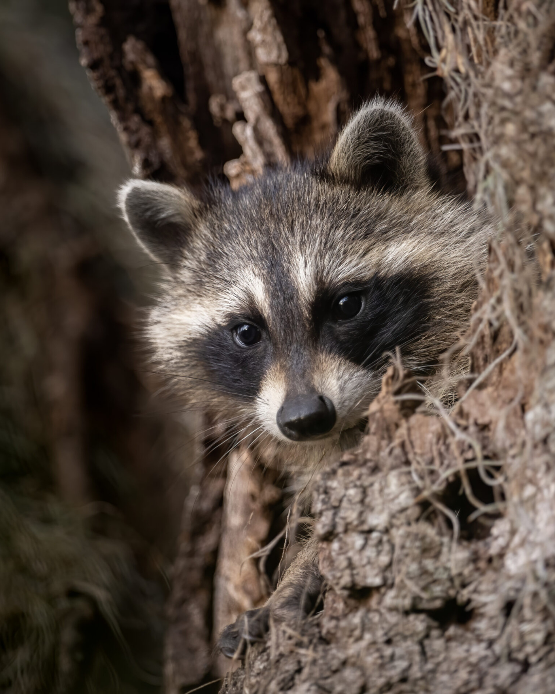 A still from our Love, Chosen video shoot