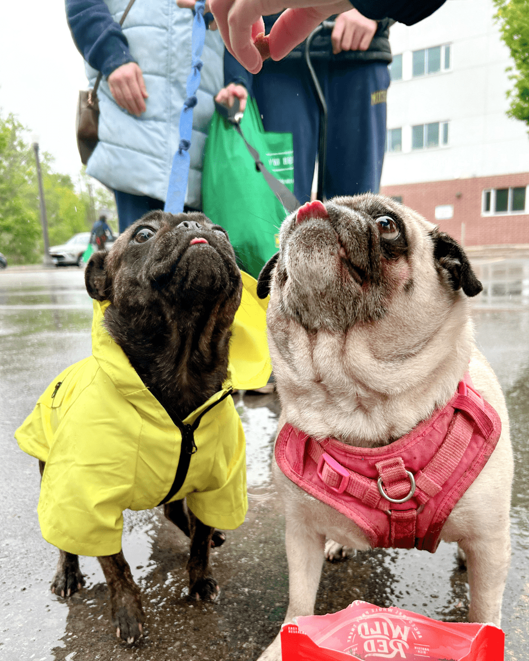 community needs assessment PHS 50/50 Lottery's current jackpot is $35,000+