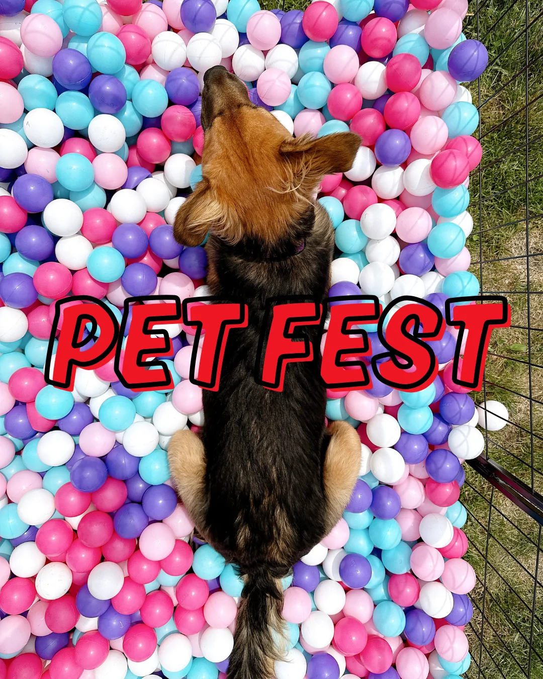pet fest 2026 (1) PHS 50/50 Lottery's current jackpot is $35,000+