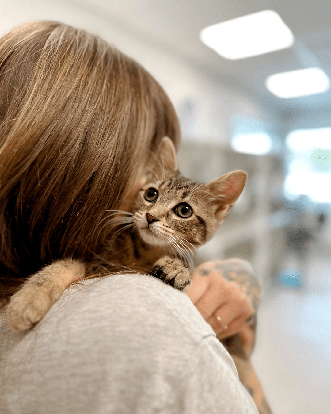 Adopt PHS 50/50 Lottery's current jackpot is $35,000+