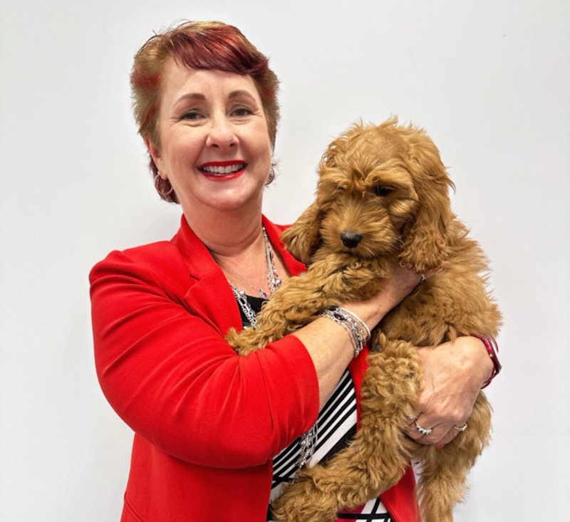 Photo of Kathy Perry holding a dog